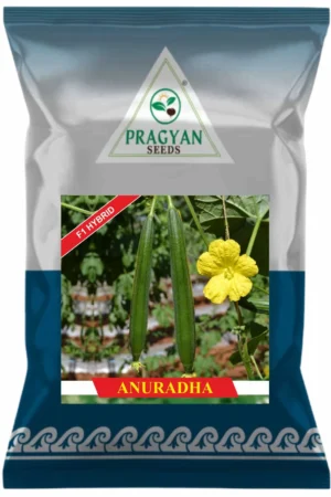 Anuradha
