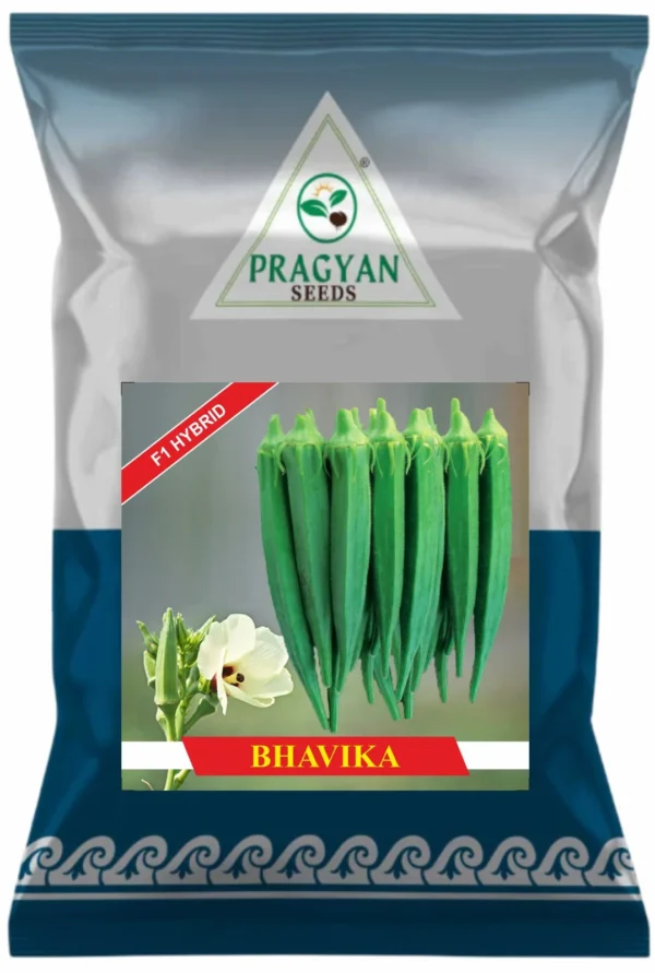 Bhavika (F1)