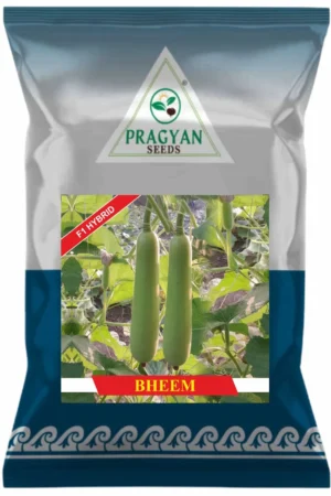 Bheem (F1)