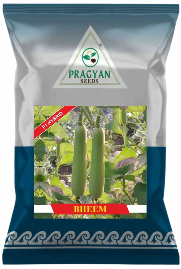 Bheem (F1)