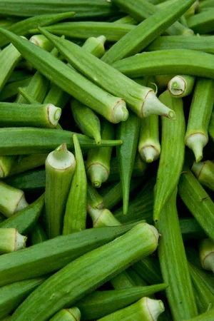 Bhindi