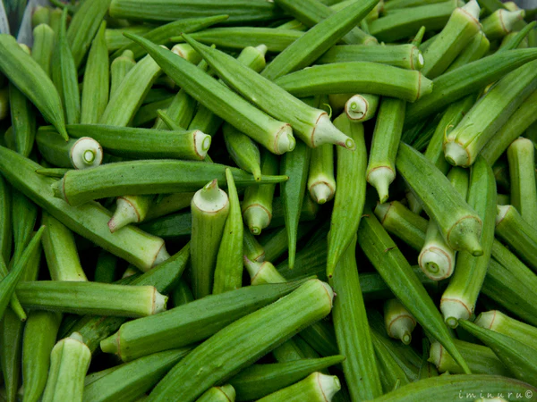 Bhindi Pragyan seeds