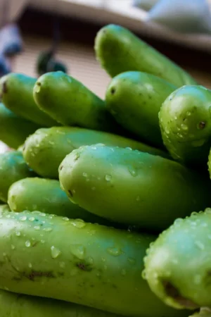 Bottle Gourd