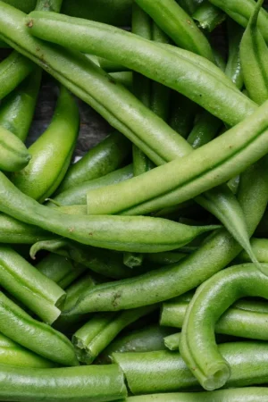 French Bean