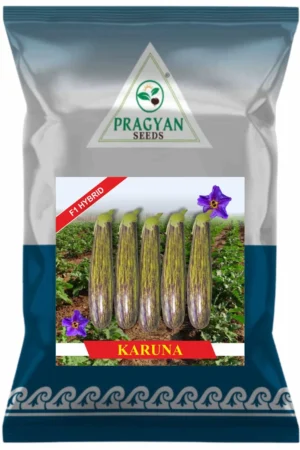 Karuna