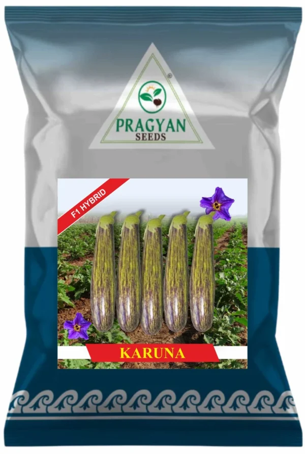 Karuna