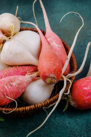 Radish