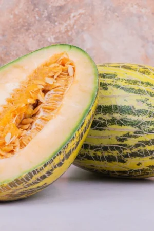 Musk Melon