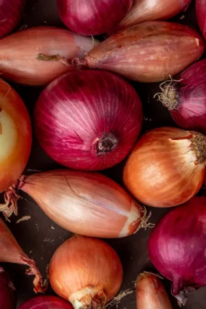 Onion