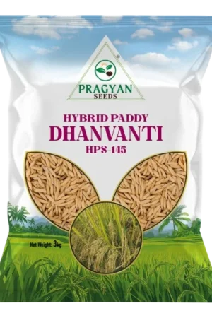 Pragyan_Paddy_Seeds_dhanwanti