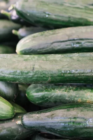 Ridge Gourd