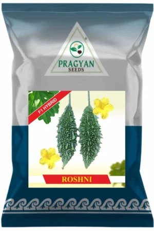 Roshni (F1)