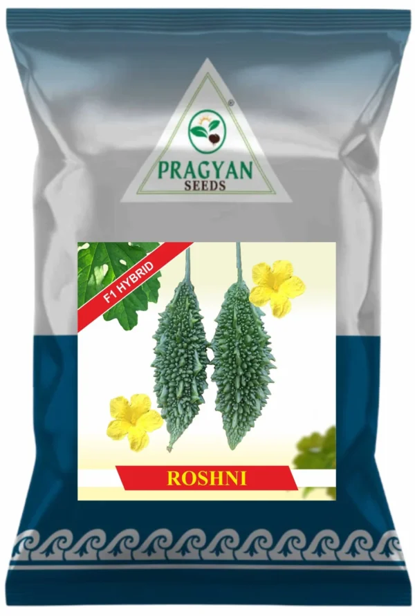 Roshni (F1)