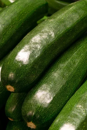 Sponge Gourd