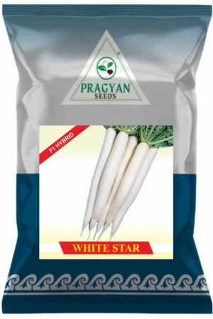White Star