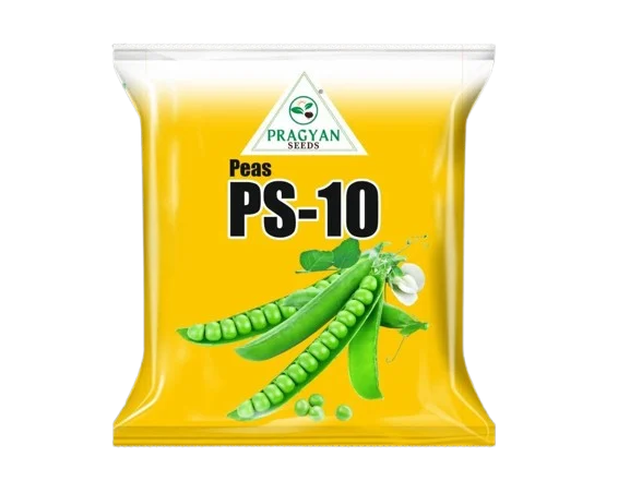 PS 10