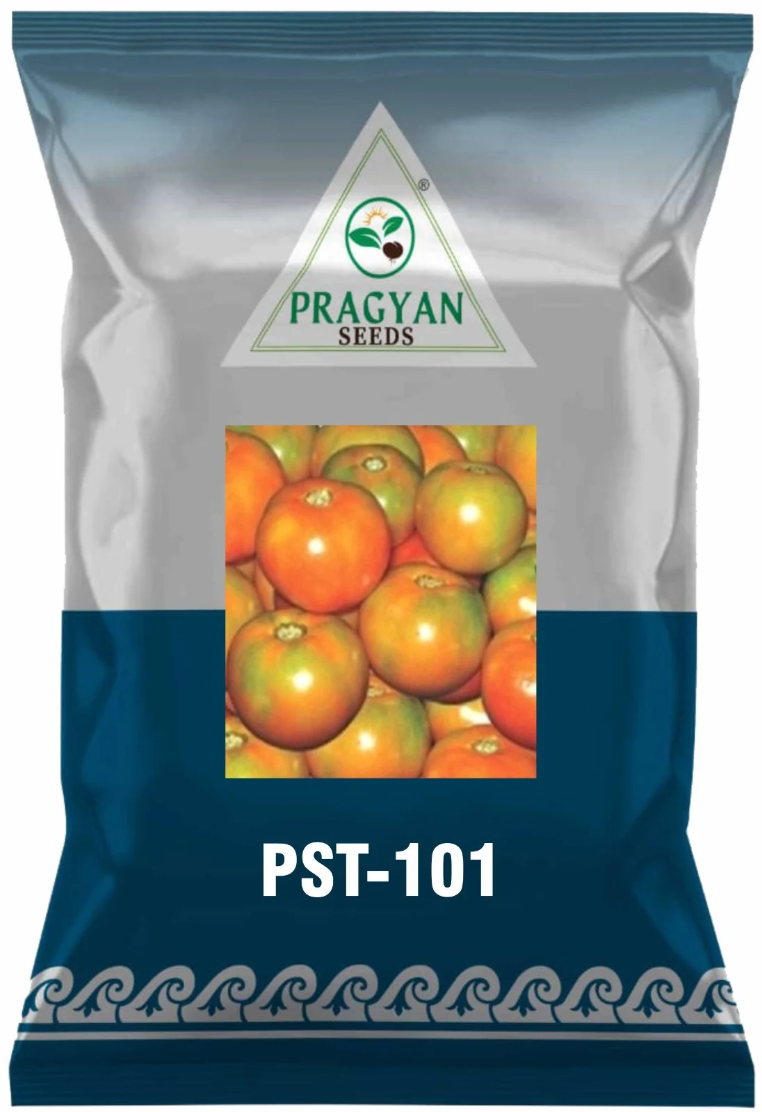 PST-101