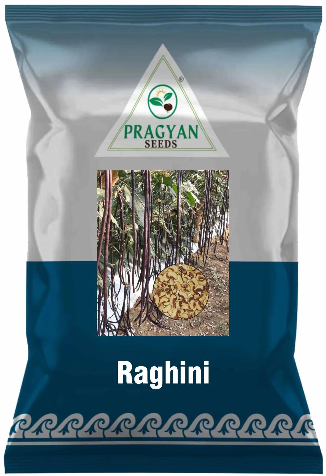 Raghini