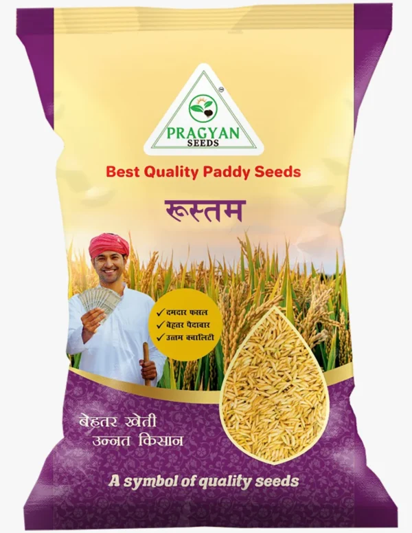 Rustam Rustam Rustam - Pragyan Seeds